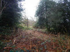 Gartenland