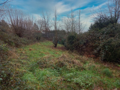 Gartenlad 4534