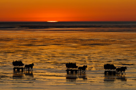 Wattwagen im Sonnenuntergang
