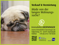 www.immobilien-berninger.de
