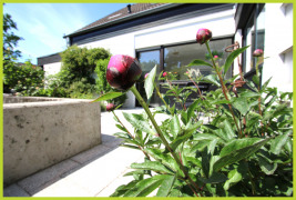 Terrasse in Süd-Ausrichtung mit Zutritt vom Essbereich