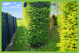 Geräteschuppen