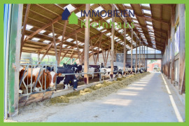 Laufstall