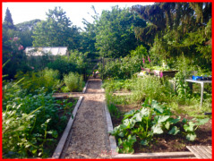 Nutzgarten