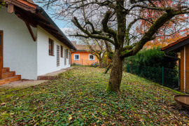 Schöner Baumbestand