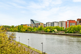 Blick auf den Main