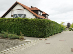 Westansicht