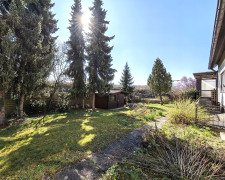 grüner Garten