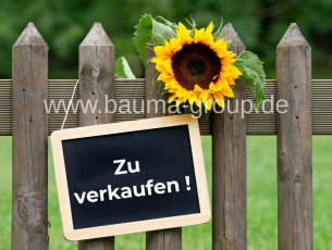 Sonnenblume - Zu verkaufen