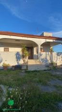 0d51ab80-e187-49cd-be92-a0cba4aa48bf