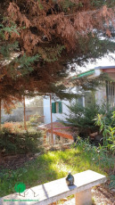 2e9467b5-2597-4ae4-bab3-91e840f095cf