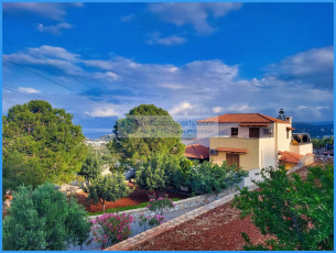 Agios N 1