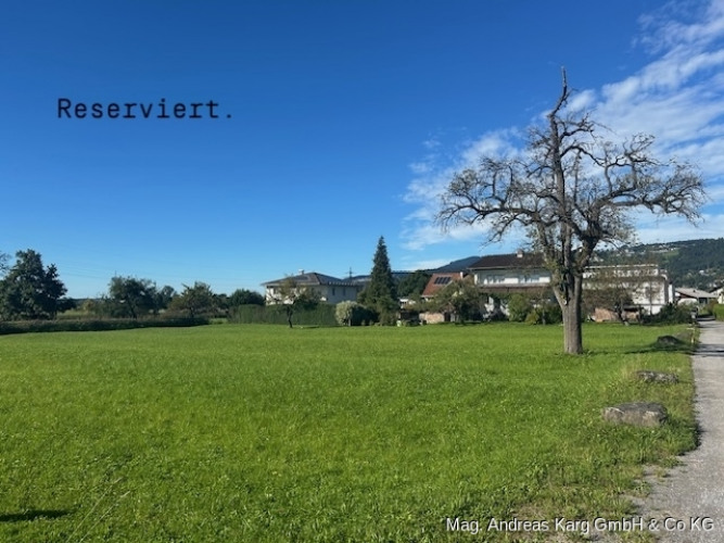 Foto reserviert