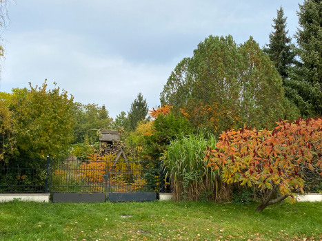 20201020-Osdorfer Straße_Teltow_2496