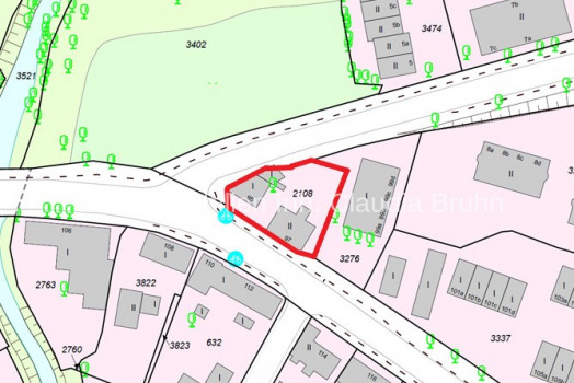 Auszug Liegenschaftskataster