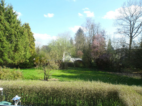 Aussicht vom Wohnzimmer