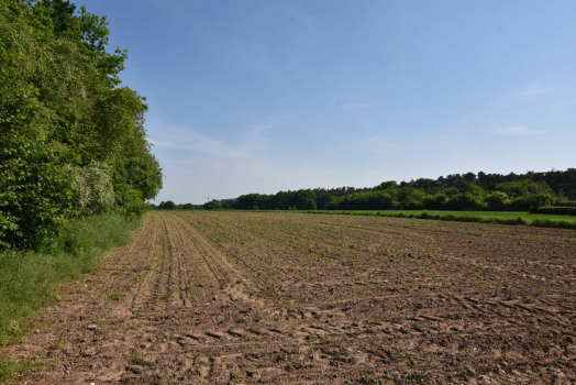 derzeit noch landwirtschaftlich genutzte Fläche 