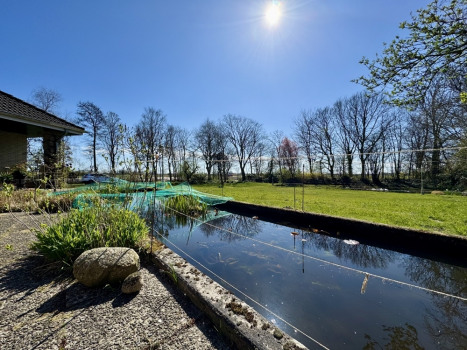 Teich an der Terrasse
