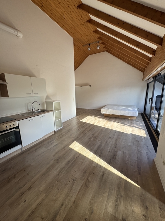 Geräumige 1-Zimmerwohnung mit großem So ... - Foto 3