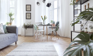 Wohnung mit vielen Pflanzen