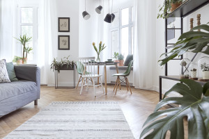 Wohnung mit vielen Pflanzen