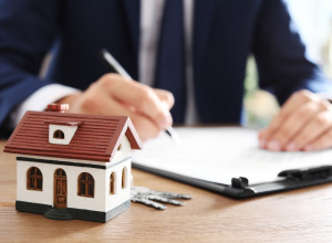 Immobilienmakler