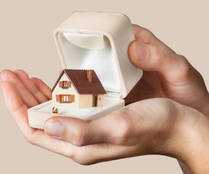 Haus in Box