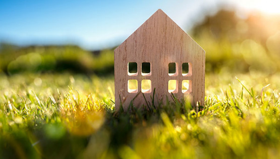 Modellhaus im Sonnenschein auf einer Wiese als Symbol für Ratgeber / Beratung zu Immobilienthemen