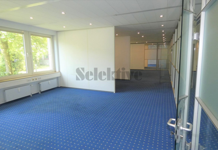 Selektive 05898eac-1b80-4a90-855e-59dafde07e42 Details  