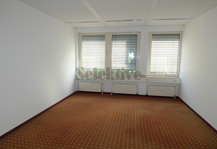 Selektive 74b9d0d5-803e-4703-bcb1-b53afe903bed Details  