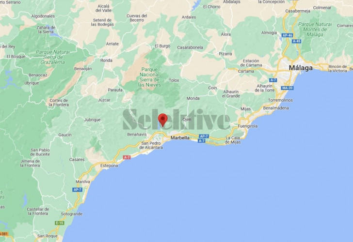Selektive 7acc6add-9aef-4733-b8f7-699494b1a2ea Details  