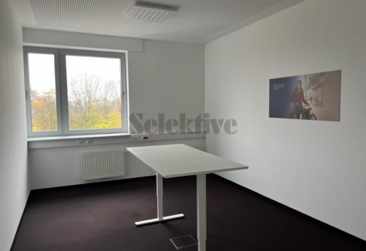Selektive 1149b788-e727-439f-a054-1f7d5f0c3bd0 Details  
