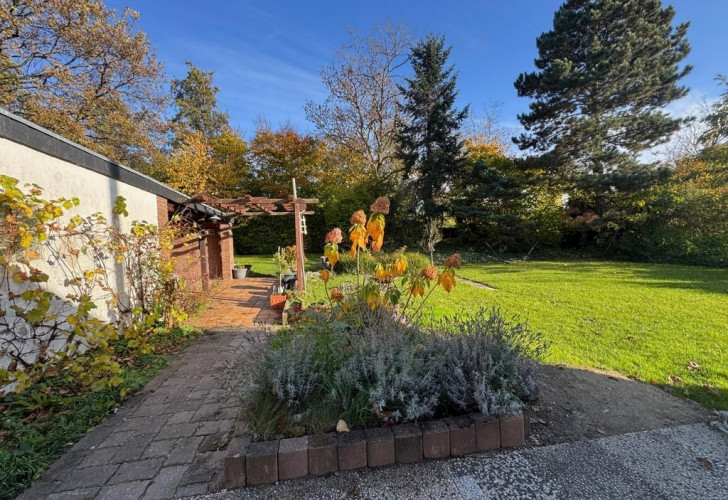 Selektive 23beca0f-b8f6-4749-b29c-b18dccc634a4 Details  