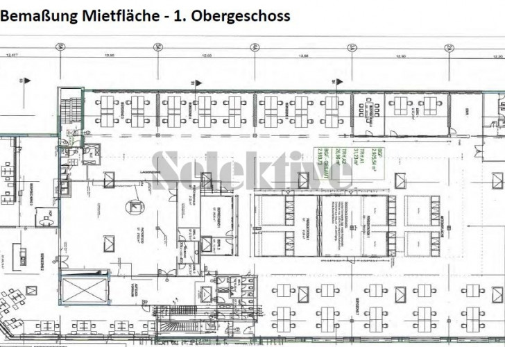 Selektive index.php?kunde=SelektiveImmobilien&datensatz=3531&filename=Grundriss_138737 Details  