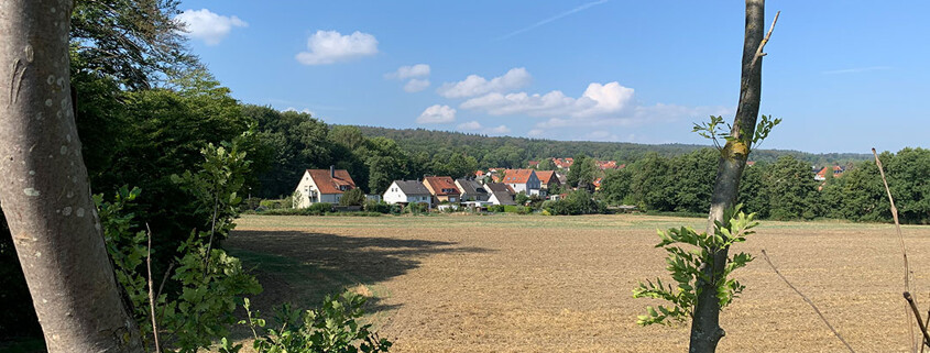 Wohnimmobilien in Barsinghausen