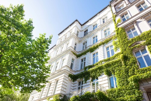 Hausfassade eines Altbaus mit Pflanzenbewuchs