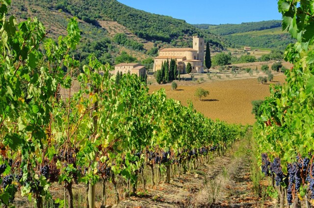 Großes Weingut in Italien