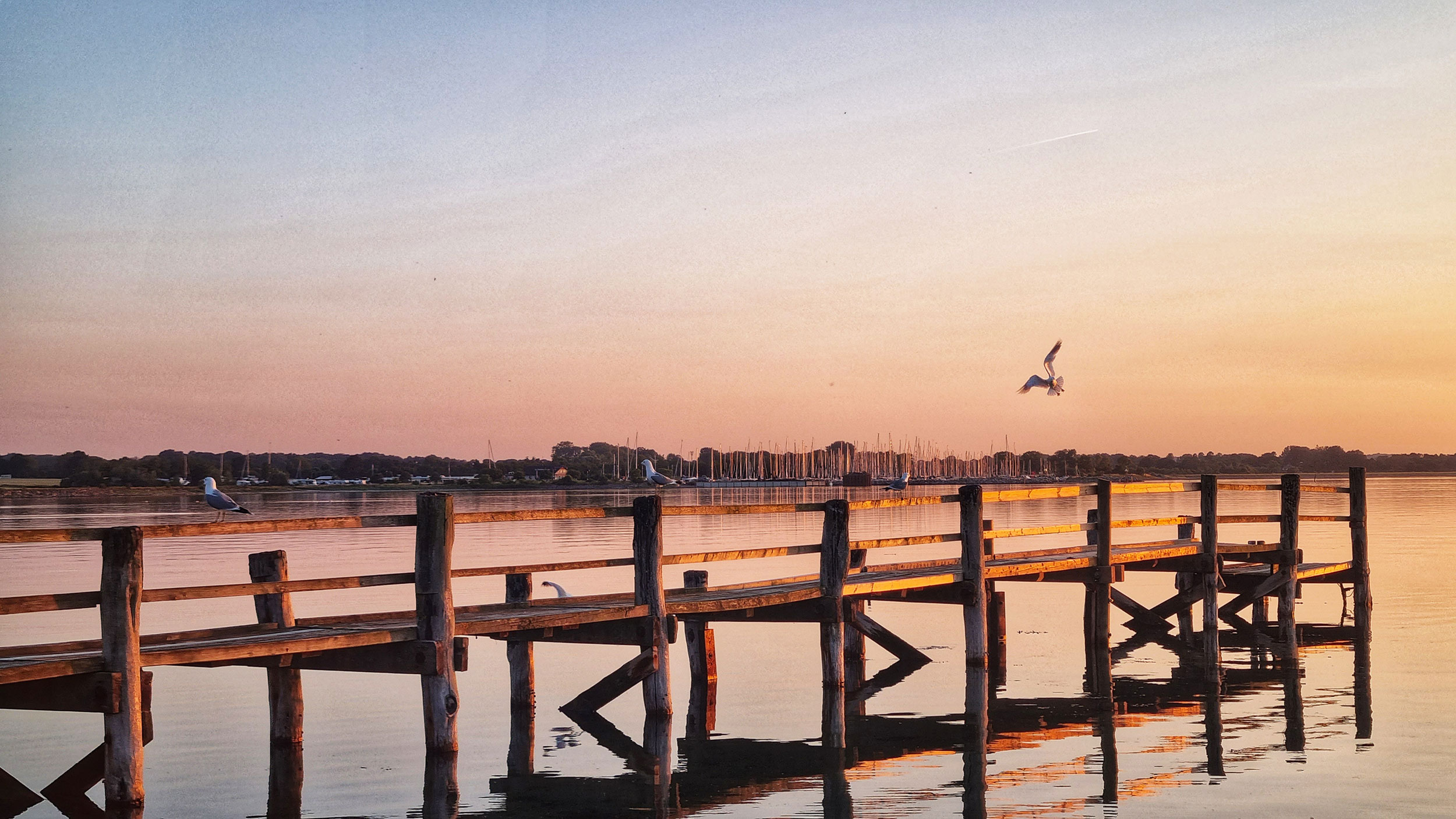 Sonnenaufgang über einem See mit einer Brücke, die zum Wasser führt.