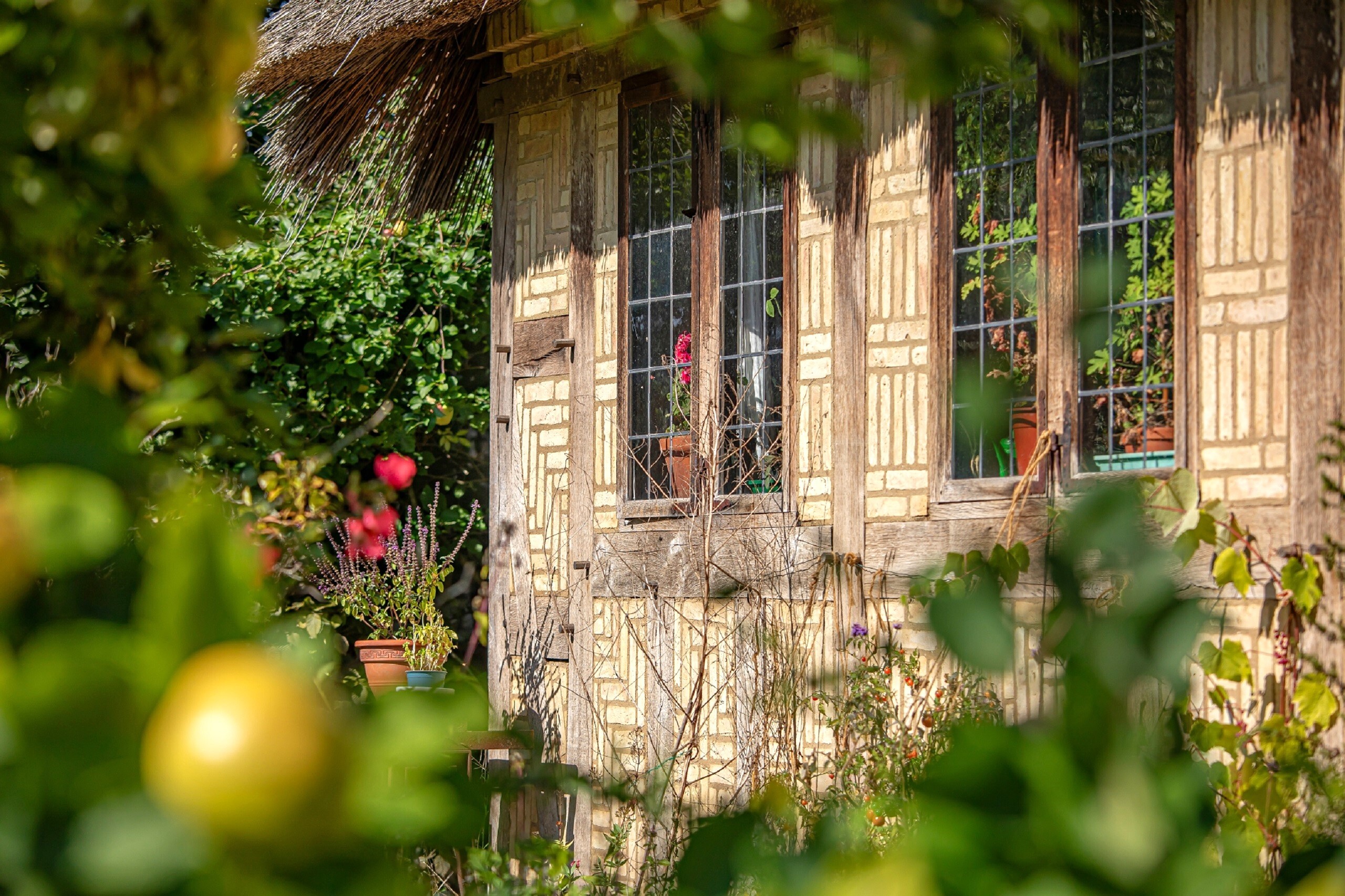 Zauberhaftes Reetdachhaus versteckt hinter grünen Apfelbäumen und Büschen