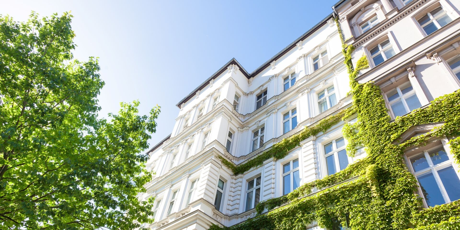 Weiße Wohnung mit Efeu-Fassade