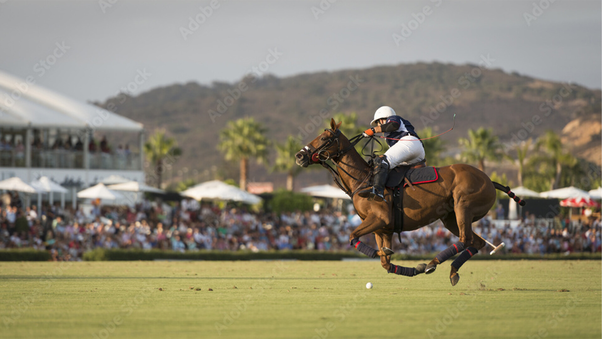 Ein Polospieler auf einem Pferd schwingt den Schläger; die Zuschauer im Hintergrund sehen zu