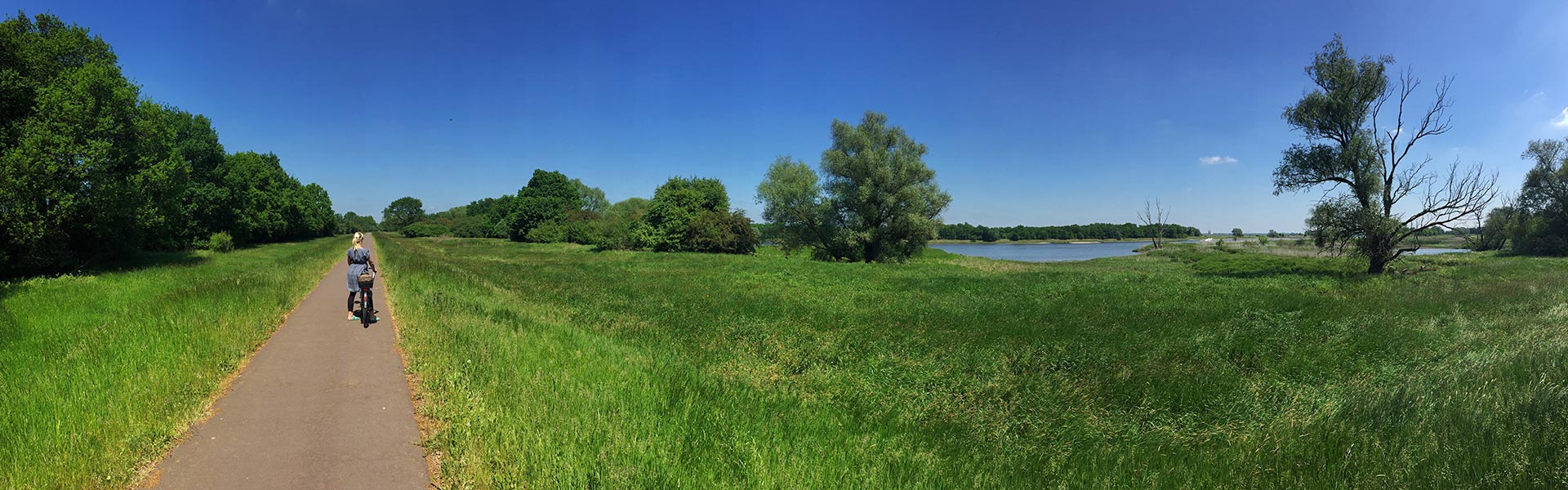 Ein Radweg in der Natur im Emsland