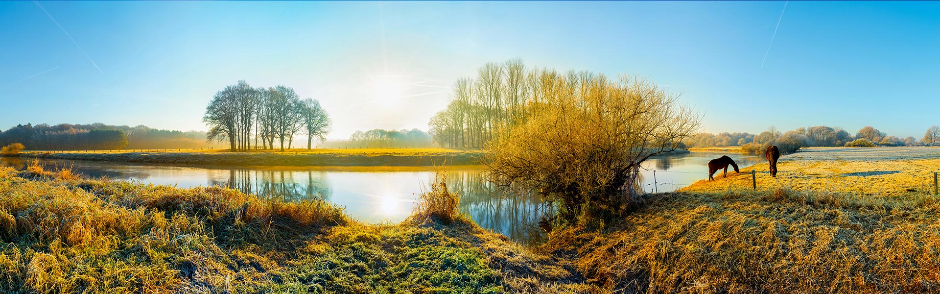 Ein Feld im Emsland bei Sonnenschein
