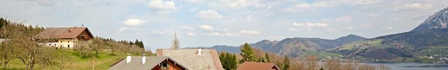 Traditionelle Ein- und Mehrfamilienhäuser im Tätigkeitsgebiet Salzburg