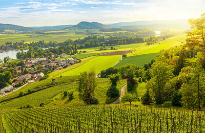 Großes Grundstück in Hanglage in der Schweiz