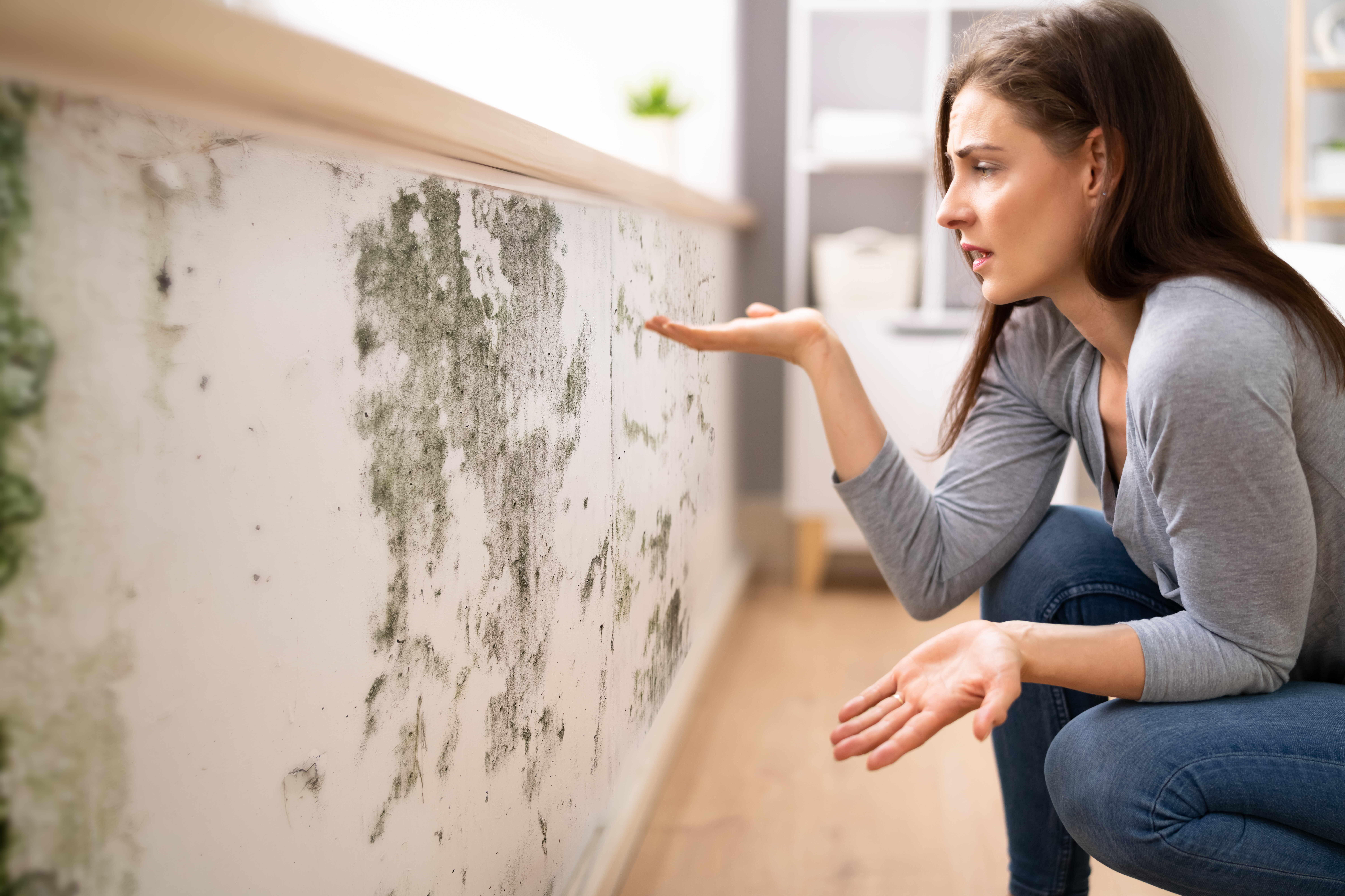Frau begutachtet Schimmel an der Wand