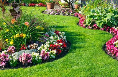 Grüner Rasen mit bunten Blumen