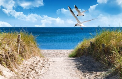 Blick auf Strand an der Ostsee