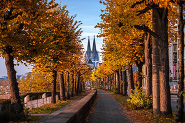 Bild von Köln im Herbst als Symbol für die aktuellen Immobilienpreise