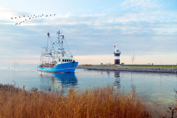 Fischkutter fährt in den Bremerhafen ein